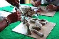 Atelier Sculpture
