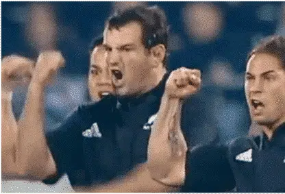 Gestes Haka Gestes Haka