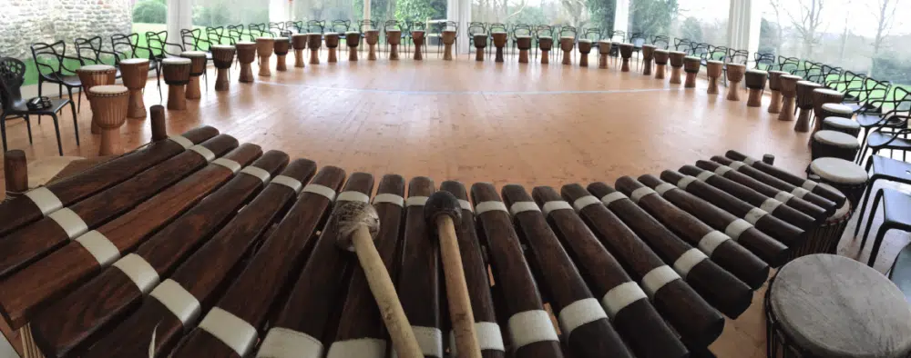 Atelier percussions djembé pour vos Evénements Atelier percussions djembé pour vos Evénements