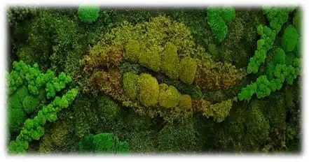 fresque vegetale atelier rse ecologie fresque vegetale atelier rse ecologie